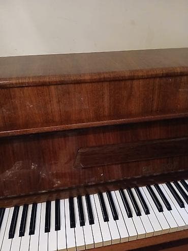 mustuk: Piano, Petrof, Akustik, İşlənmiş, Ünvandan götürmə — 3