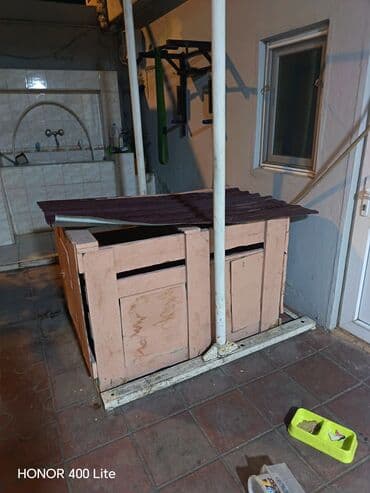 Yemlər: Heyet evinize gözəlik qatacaq heyvan yuvası ister it veya toyuq — 2