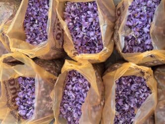 акция let's go 2021: Məhsul: Bilgəh zeferanin gülünün kilonan satışı 1 kilosu 60azn - — 5