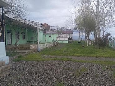 bilgeh bag evi: Biznes üçün, Mülkiyyətçi, Kupça (Çıxarış) — 4