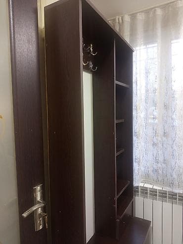 100: İşlənmiş, 2 qapılı, Qəhvəyi, Digər material, Açılan, Düz dolab — 2