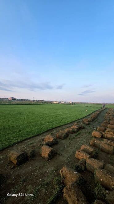 soxulcan gübrəsi: Təbii qazon rulonları landşaft dizaynı üçün əla seçimdir. Bu qazon — 3