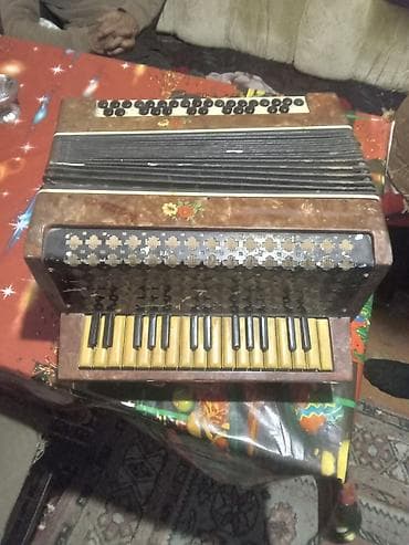 tap az qarmon: Akustik Akkordeon — 2