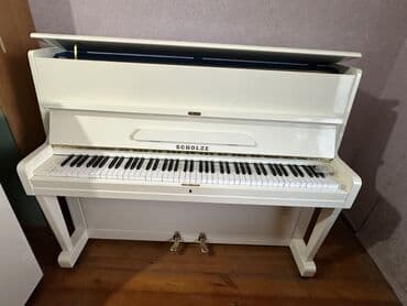 hədəf azərbaycan dili qayda kitabı qiyməti: Piano, Petrof, Akustik, Yeni, Pulsuz çatdırılma — 11