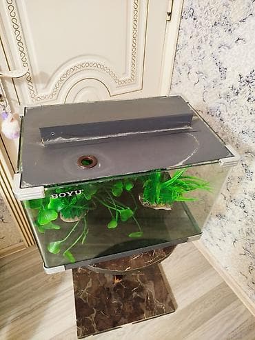 akvaryum: BOYU akvarium seti - Marka/model: BOYU - Şüşə akvarium, ön küncləri — 4