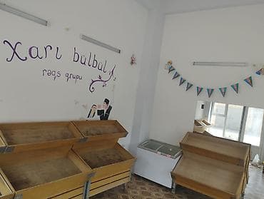 İcarəyə verilir – küçə vitrinli obyekt Polkalar və marojna xaladeniki — 9