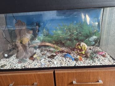 купить аквариум: Прямоугольный аквариум, Пустой, 150 л, Самовывоз — 3