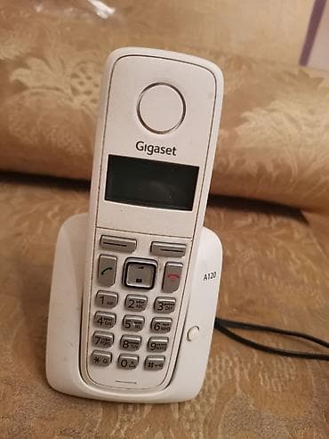 Orqinal mal. İlek veziyetde