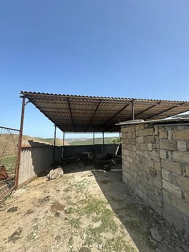 ucuz kiraye ev: 300 sot, Biznes üçün, Barter mümkündür, Kupça (Çıxarış) — 6