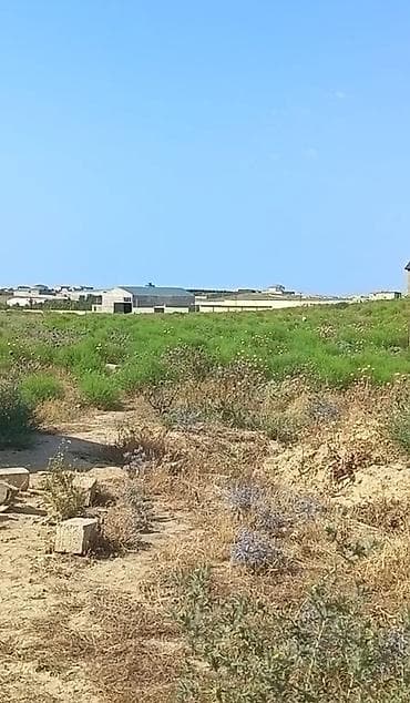 topaq: 9 sot, Tikinti, Kupça (Çıxarış) — 1