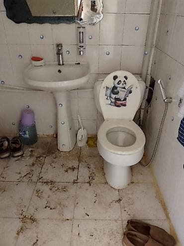 Tualet və hamam dəsti - Tualet: klassik keramika unitaz, üst qapaqda