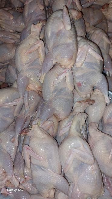 Məhsul: Təmizlənmiş bildirçin cəmdəkləri Təsvir: - Tam təmizlənmiş