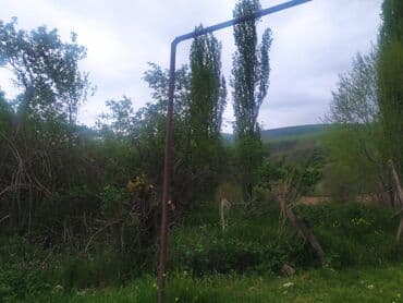 torpaq lokbatan: Yaşıl otlar və müxtəlif ağaclarla örtülmüş, yamaclı ərazidə yerləşən — 7