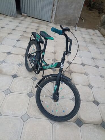 7 sinif biologiya: İki təkərli Uşaq velosipedi Stels, 20", sürətlərin sayı: 1, Pulsuz çatdırılma, Ödənişli çatdırılma — 4