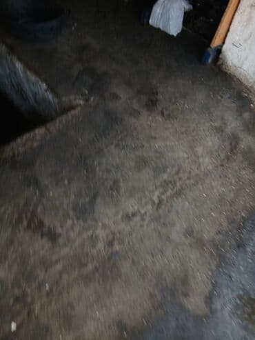 авто фольксваген: Peugeot ehtiyat hissələri - Alüminium disklər: 5 cıvatalı, Peugeot — 6