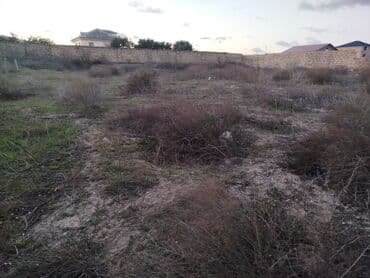 12 sot, Tikinti, Maklerlər narahat etməsin, Kupça (Çıxarış)