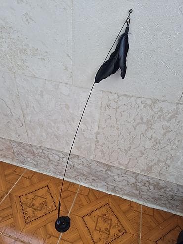 pişik üçün sumka: Ev heyvanları üçün daşıma qabı - Qapalı, sərt plastik korpus: möhkəm — 2