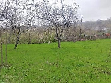 ev alqi satqisi ve kirayesi baki: Kənd təsərrüfatı — 6