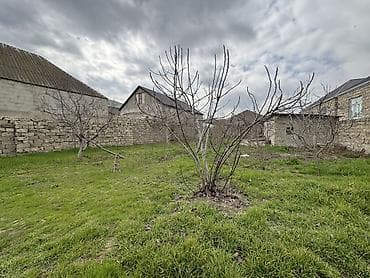 bine savxoz ev: 10 sot, Tikinti, Maklerlər narahat etməsin — 7