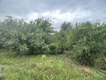 kiraye evlər əhmədli: 6 otaqlı, 16 kv. m, Təmirsiz — 4