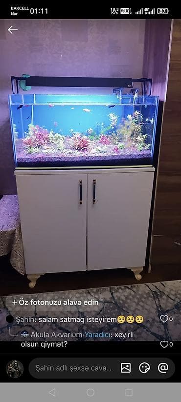 akvariyum: Akvarium-şkaf, Boş, 200 l, Ödənişli çatdırılma, Ünvandan götürmə — 3