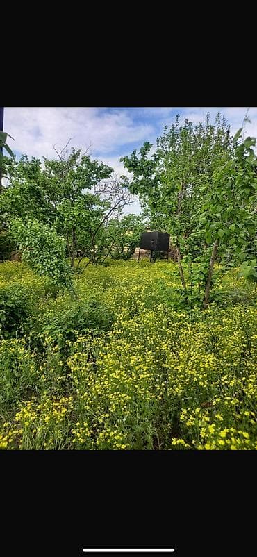 şeki: 8 sot, Tikinti, Mülkiyyətçi, Kupça (Çıxarış) — 4