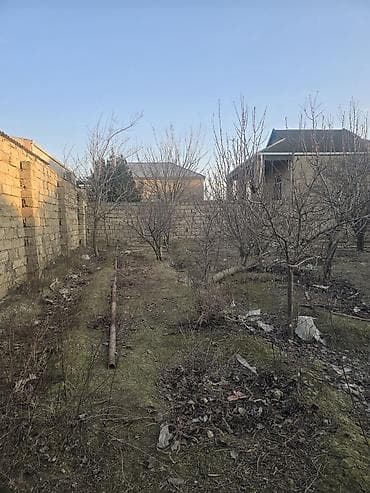 100 kv: 16 sot, Kənd təsərrüfatı, Mülkiyyətçi — 8