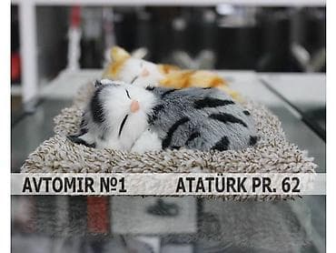 aksesuar instagram: Dekorativ heyvanlar panel ucun 🚙🚒 ünvana və bölgələrə ödənişli — 1