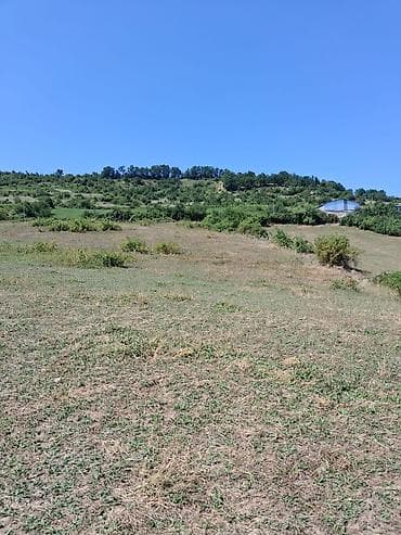 90 sot, Kənd təsərrüfatı, Mülkiyyətçi, Kupça (Çıxarış) — 6