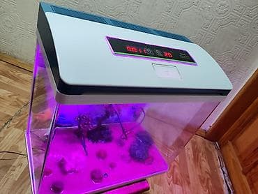 kənd colpası satışı: Boş, 45 l, Ödənişli çatdırılma — 2