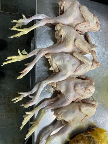 bilik gunu tortu: Satilir kend colpa çekisi 650;700qrama kimi qiymet 6;50(7)manata kimi — 2