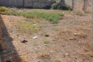 zabratda torpaq satilir: 6 sot, Tikinti, Barter mümkündür, Kupça (Çıxarış) — 3