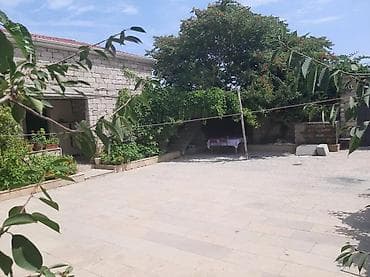 goycayda evler: - Geniş, daşla döşənmiş həyət: yaşıl ağaclar, gül kolları, hasarlı — 6