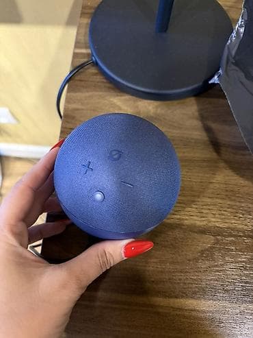 Amazon Kolonka, Növ - Smart, rəng - Mavi