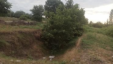 modern evler: 204 sot, Kənd təsərrüfatı, Mülkiyyətçi, Kupça (Çıxarış) — 6