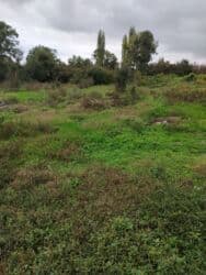 аренда земли под шиномонтаж: 10 соток, Купчая — 2