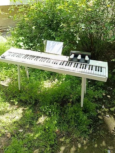 Piano, Rəqəmsal, Yeni, Pulsuz çatdırılma