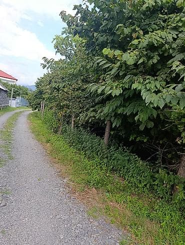 Daşınmaz əmlak: 14 sot, Kupça (Çıxarış) — 2