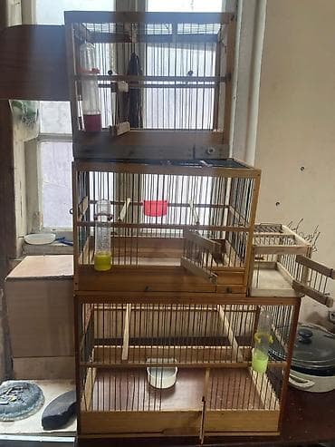 Hamsi bir yerde unvan montin Təsvir: - Üç mərtəbəli taxta quş qəfəs