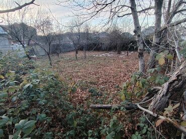 20 yanvar kiraye: 3 sot, Tikinti, Mülkiyyətçi, Kupça (Çıxarış) — 4