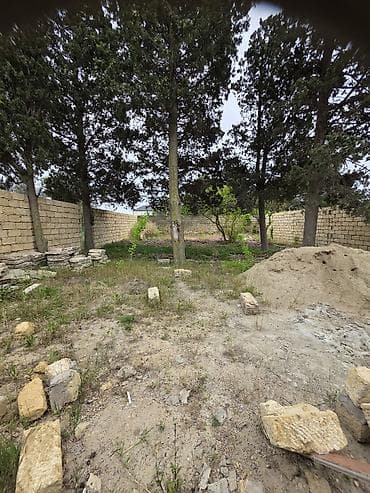2 sot, Tikinti, Mülkiyyətçi, Kupça (Çıxarış) — 7