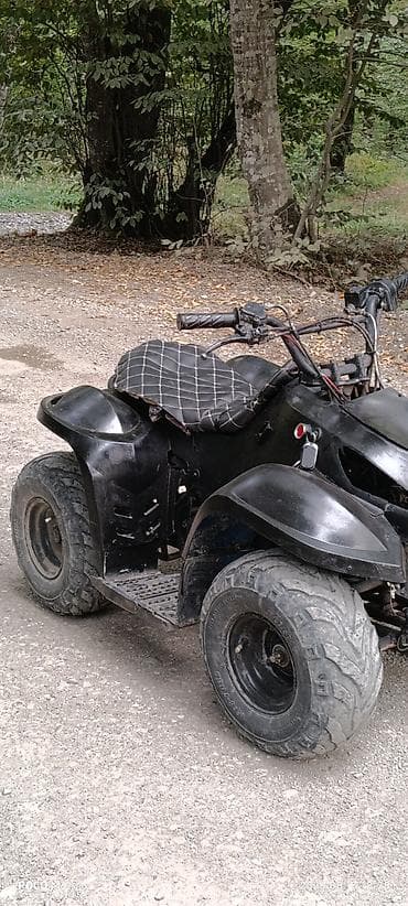 sinler ve diskler type 1: Kayo - ATV, 110 sm3, 2023 il, 86 km — 3