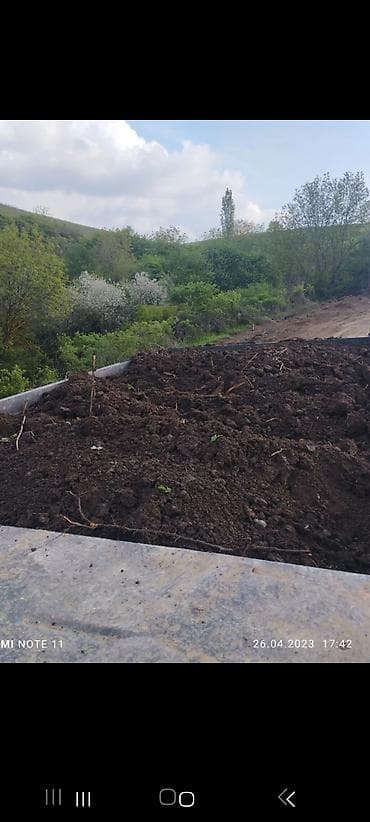 Buket güllər: Salam qara torpağ şamaxı ərazsindən gəlir ucuz ve keyfiyetli — 2