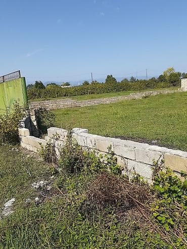 binede torpag: 6 sot, Tikinti, Mülkiyyətçi, Kupça (Çıxarış) — 1