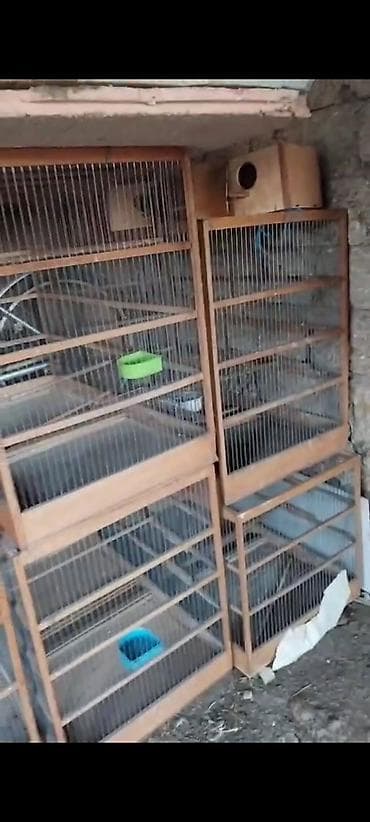 toptan yem satışı: Taxta çərçivəli, metal torlu böyük qəfəs - Karkas: möhkəm taxta — 4