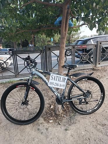 velosiled: 29 luğ Az işlənmiş — 1