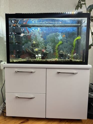 купить аквариум: Аквариум-шкаф, Вместе с рыбами, 160 л, Самовывоз — 1