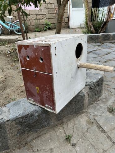 goyərcin yuvaları: Kerella yuva 7 eded 4 Iran qefesi 10 eded 10 azn Balaca yuva 47 eded — 8