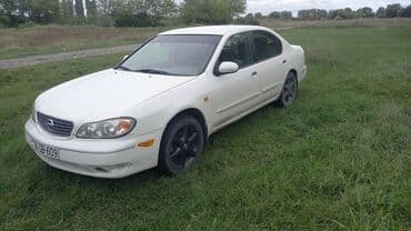 eylec: Nissan Maxima: 3 l | 2006 il Sedan — 1