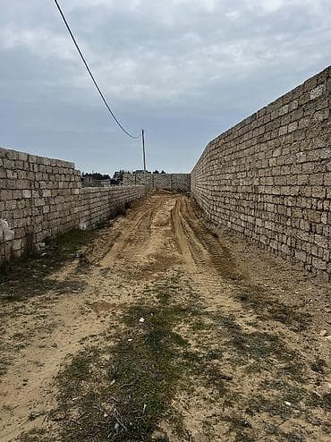 5 sot, Tikinti, Kupça (Çıxarış)